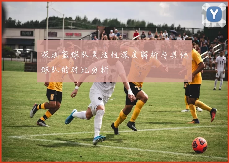 深圳篮球队灵活性深度解析与其他球队的对比分析