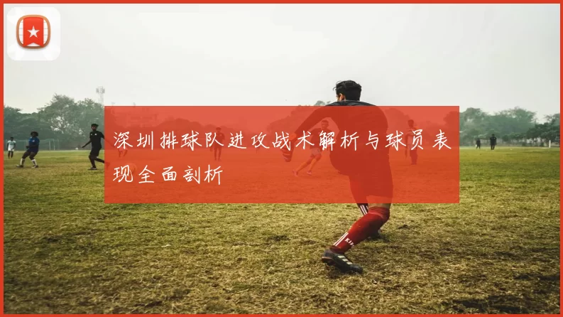 深圳排球队进攻战术解析与球员表现全面剖析