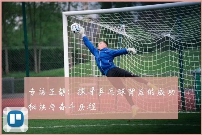 专访王静：探寻乒乓球背后的成功秘诀与奋斗历程
