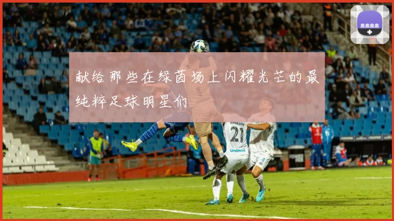 献给那些在绿茵场上闪耀光芒的最纯粹足球明星们