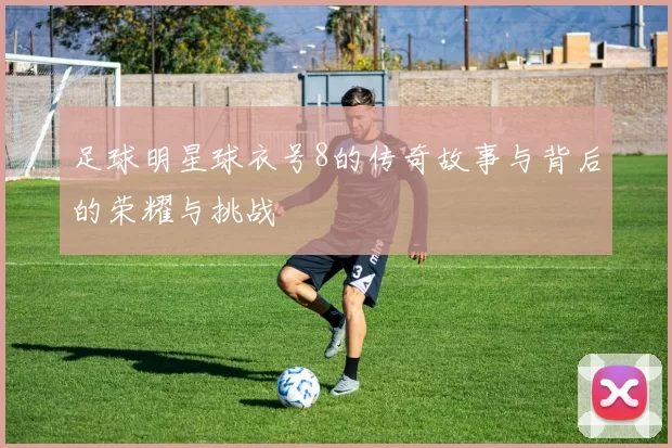 足球明星球衣号8的传奇故事与背后的荣耀与挑战