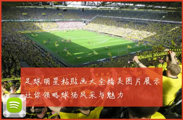 足球明星粘贴画大全精美图片展示让你领略球场风采与魅力