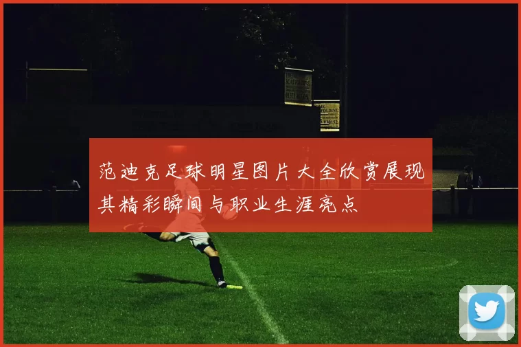 范迪克足球明星图片大全欣赏展现其精彩瞬间与职业生涯亮点
