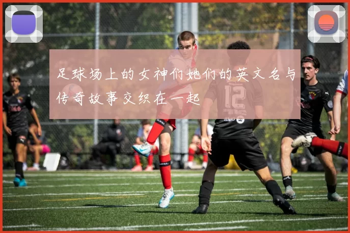 足球场上的女神们她们的英文名与传奇故事交织在一起